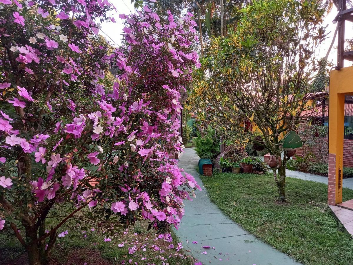 Recanto Das Flores Lofts - Ilha Grande Rj Luaran gambar