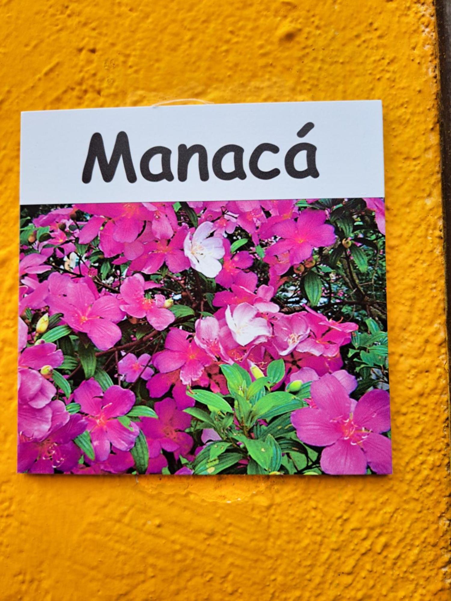 Recanto Das Flores Lofts - Ilha Grande Rj Luaran gambar