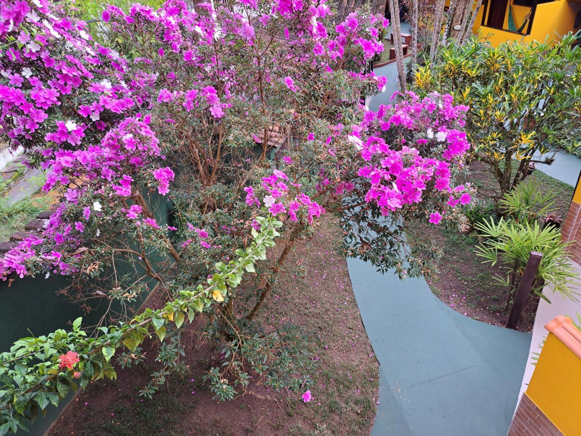 Recanto Das Flores Lofts - Ilha Grande Rj Luaran gambar